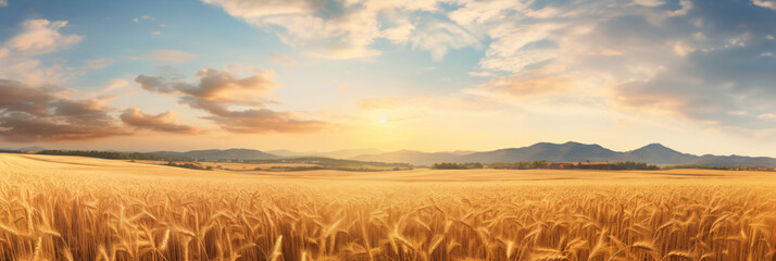 Wall Mural - Golden straw in the field after the wheat harvest in rays of sunlight at sunset against background of sky with clouds. - Generative Ai