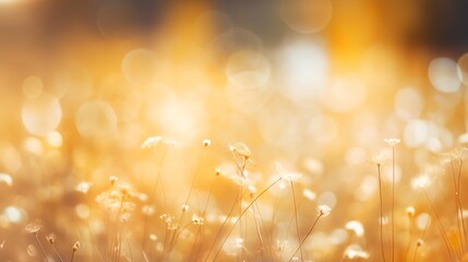 Aufkleber - Generative AI : Blurred nature, abstract bokeh background.Summer holiday concept.