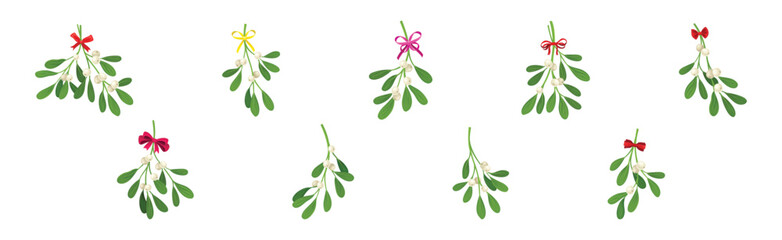 Wall Mural - Mistletoe Green Branches with Oblong Leaves and Berries and Ribbon Bow Vector Set