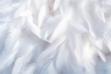 Background With White Soft Feather Texture, Concept Suitable For Sleep And Health.