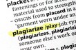 © frank - plagiarize