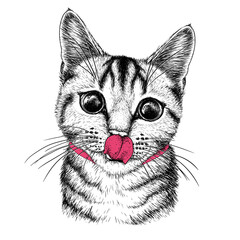 Wall Mural - Vector illustration of a tabby cat with his tongue hanging out