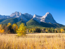 Mountain Landscape In The Morning. Sunbeams In A Valley. Field And Forest In A Mountain Valley. Natural Landscape With Bright Sunshine. High Rocky Mountains. Banff National Park, Alberta, Canada.