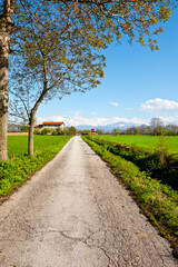 Wall Mural - Road