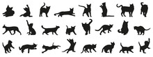 Cat Silhouette Collection. Set Of Black Cat Silhouette. Kitten Silhouette Collection