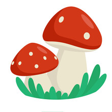 Two Fly Agaric With Green Grass In Cartoon Style On A White Background, Vector Graphic.