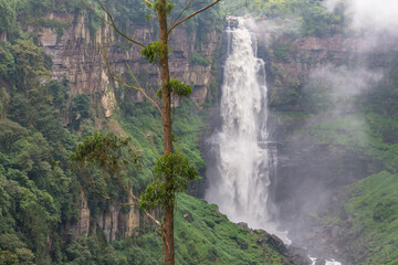 Canvas Print - Waterfall in Colombia