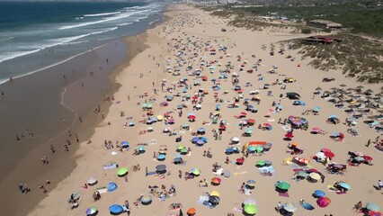 Wall Mural - Aerial view of people enjoying summer at the beach in Costa da Caparica, near Lisbon, Portugal.