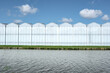 Frontal view of a modern industrial greenhouse in the Westland, the Netherlands. Westland is a region in of the Netherlands.
