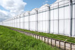 Perspective view of a modern industrial greenhouse in the Westland, the Netherlands. Westland is a region in of the Netherlands.