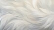 © Anna - a white fur texture is shown in this image, it looks like it has a lot of fur on it.  generative ai