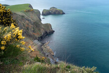 View Of Dramatic Irish Coastline With Yellow Flowers In The Foreground.