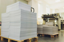 Stacks Of Printed Sheets Of Cardboard On Wooden Pallets Closeup. Printing Industry.