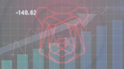 Poster - Animation of bear face icon and statistical data processing against concentric circles
