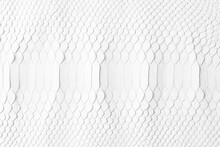 White Snake Skin Texture With Natural Pattern, Python Leather Surface Background