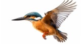 Fototapeta  - Common flying kingfisher isolated on white background Generative Ai