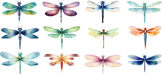 Wall Mural - Set of watercolor dragonflies on white background. Generative AI