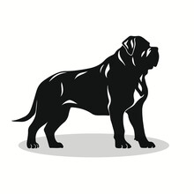 Mastiff Silhouettes And Icons. Black Flat Color Simple Elegant Mastiff Animal Vector And Illustration.
