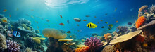 Image For Banner Background. Underwater Atmosphere With Beautiful Fish And Corals. Clear Water. Free Space For Content.