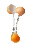 Cracked egg isolated