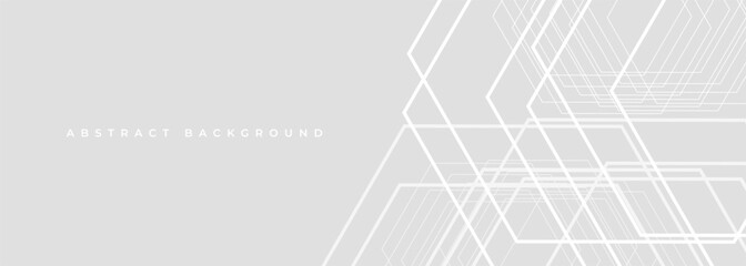 Wall Mural - Soft grey wide banner, abstract cover background with white hexagon lines. Vector illustration