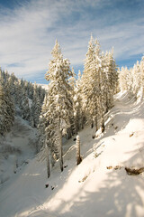 Sticker - Snow-covered trees in the mountains. Picturesque winter scene. Magic winter forest on a bright sunny day. Natural landscape with beautiful sky. Happy New Year!