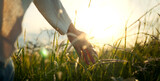 Fototapeta Mapy - Hand of traveling woman touching meadow in the rays of the sunset summer, Female walks through the field in thick high grass.