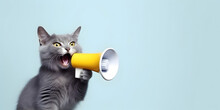 Cat Announcing Using Hand Speaker. Notifying, Warning, Announcement