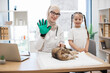 © sofiko14 - Girl and vet in pet grooming glove smiling at camera