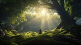 Fototapeta Las - a hiker sits with her back in a magical forrest in front of a large tree