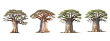 Baobab Tree Cutout Transparent Backgrounds . Generative AI