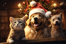 Dog And Cat Dressed In Santa Outfits Gathered Around A Beautifully Christmas Tree
