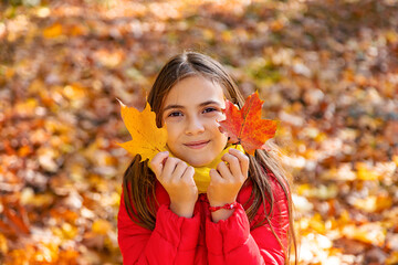 Wall Mural - Autumn child in the park with yellow leaves. Selective focus.