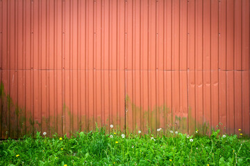 Wall Mural - Red tin wall background with green grass