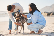 Beach, Love And Couple With Dog By Ocean For Freedom, Adventure And Bonding Together In Nature. Happy Pet, Petting Canine And Man And Woman By Sea For Exercise, Wellness And Training Outdoors