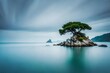 tropical island with a tree in the sea , tree in the sea, island 