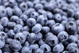 Fototapeta Mapy - Background of fresh blueberries, selective focus, concept of organic wholesome vegan food,