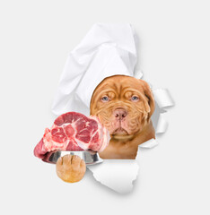 Poster - Serious Mastiff puppy wearing a chef's hat holds bowl of raw meat and looks through the hole in white paper
