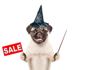 Poster - Pug puppy wearing hat for halloween shows signboard with labeled 