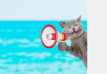 Poster - Happy cat screams into megaphone and looks from behind empty white banner at summer beach