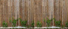 Bamboo Wall Decorated With Green Cactus