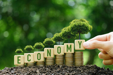 Tree on pile of coins and businessman hand holding wooden block, green business concept. Economy, finance and investment for sustainability and carbon credit.