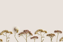 Minimal Autumn Composition With Dried Wild Flowers On Beige Background, Nature Autumnal Decor, Still Life Photo Neutral Colors, Minimal Flat Lay Of Natural Forest Flowers. Autumn, Fall Concept.