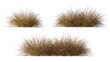 © Krit - Cutout dried grass meadows savanna field set on transparent backgrounds 3d render png
