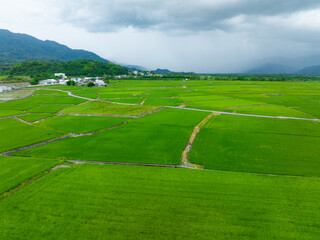 Poster - Top view of rice field in Taitung of Taiwan