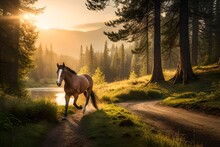 Horse In The Sunset