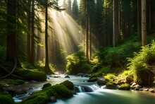 A Sunlit Forest Glade With A Gently Flowing Stream