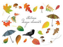 A Set Of Autumn Design Elements - Different Colorful Leaves, Rowan (viburnum) Berries, Acorns, Mushrooms, An Umbrella, A Spider On A Web, A Crow Bird. Vector Drawings Isolated On White Background.