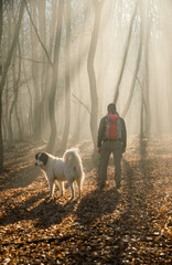 Wall Mural - happy dog and owner in foggy forest