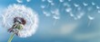 © Lena - Close up of dandelion on the blue background. Generated by ai
